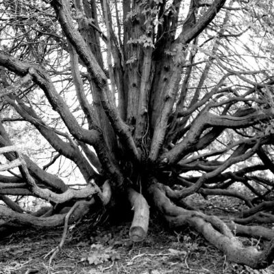 2022-04-01 April_2022_PsychBytes_Word_Mockup